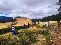 Clearing at Kymane venture site