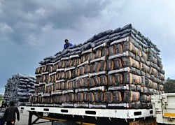Loading at cedarville